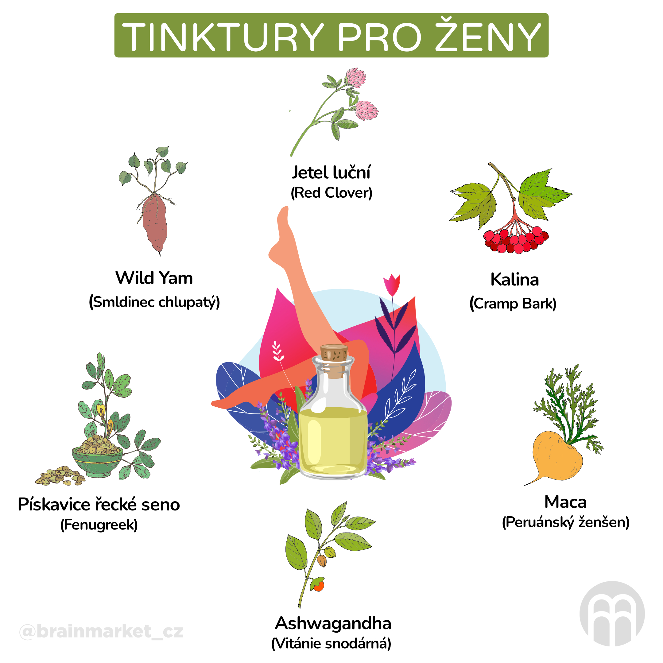 Tinktury pro ženy_infografika_cz